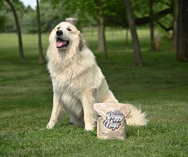 CBD Dog Chews